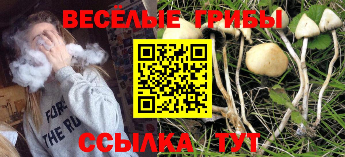 Псилоцибиновые грибы ЛСД Нягань